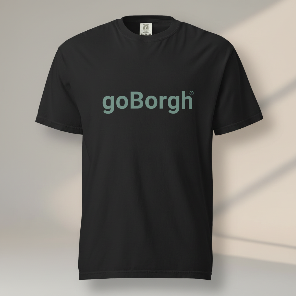 black goBorgh wordmark garment-dyed relaxed fit t-shirt front view